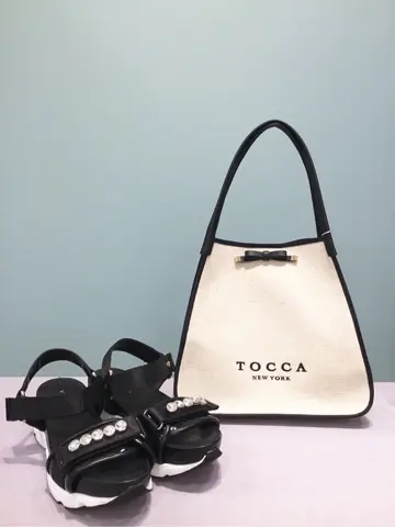 TOCCA 𝒽 コーディネート画像