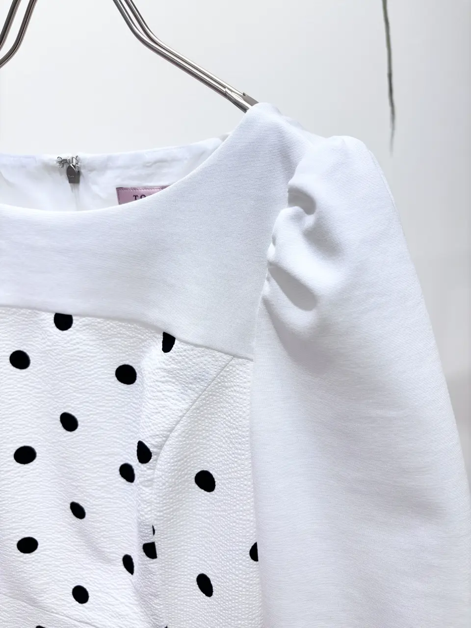 TOCCA 𝒽 コーディネート画像