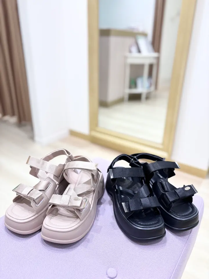 TOCCA 𝒽 コーディネート画像