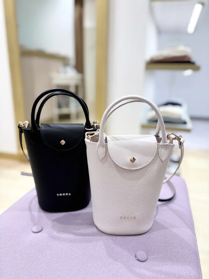 TOCCA 𝒽 コーディネート画像