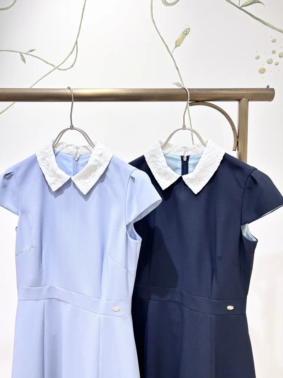 TOCCA 𝒽 コーディネート画像