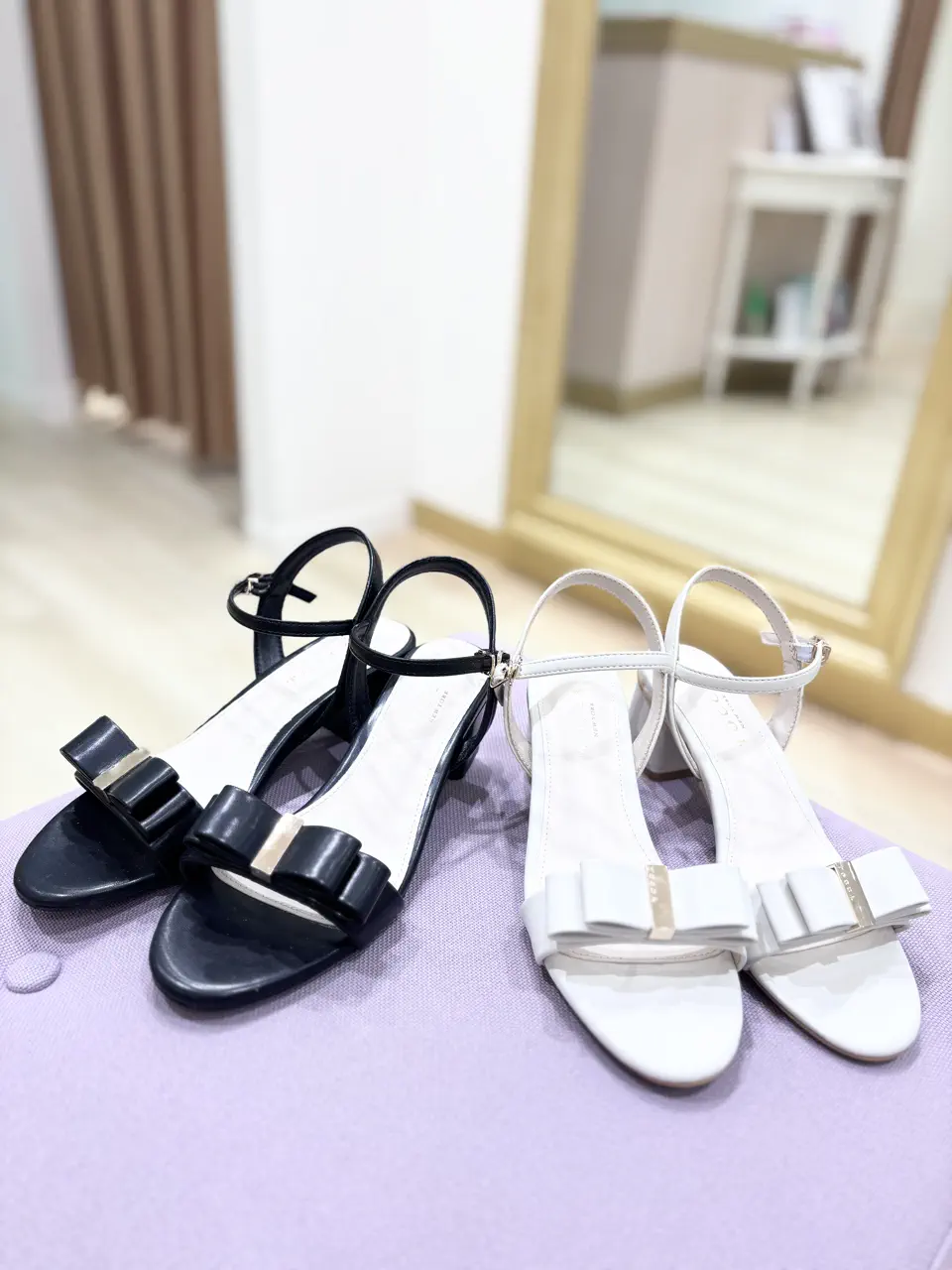 TOCCA 𝒽 コーディネート画像