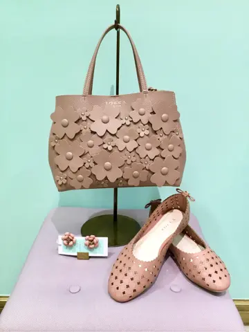 TOCCA Y.K コーディネート画像