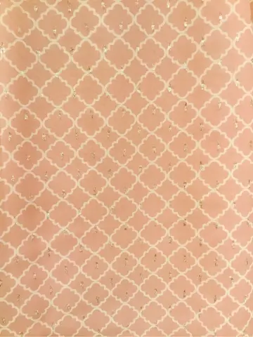 TOCCA Y.K コーディネート画像