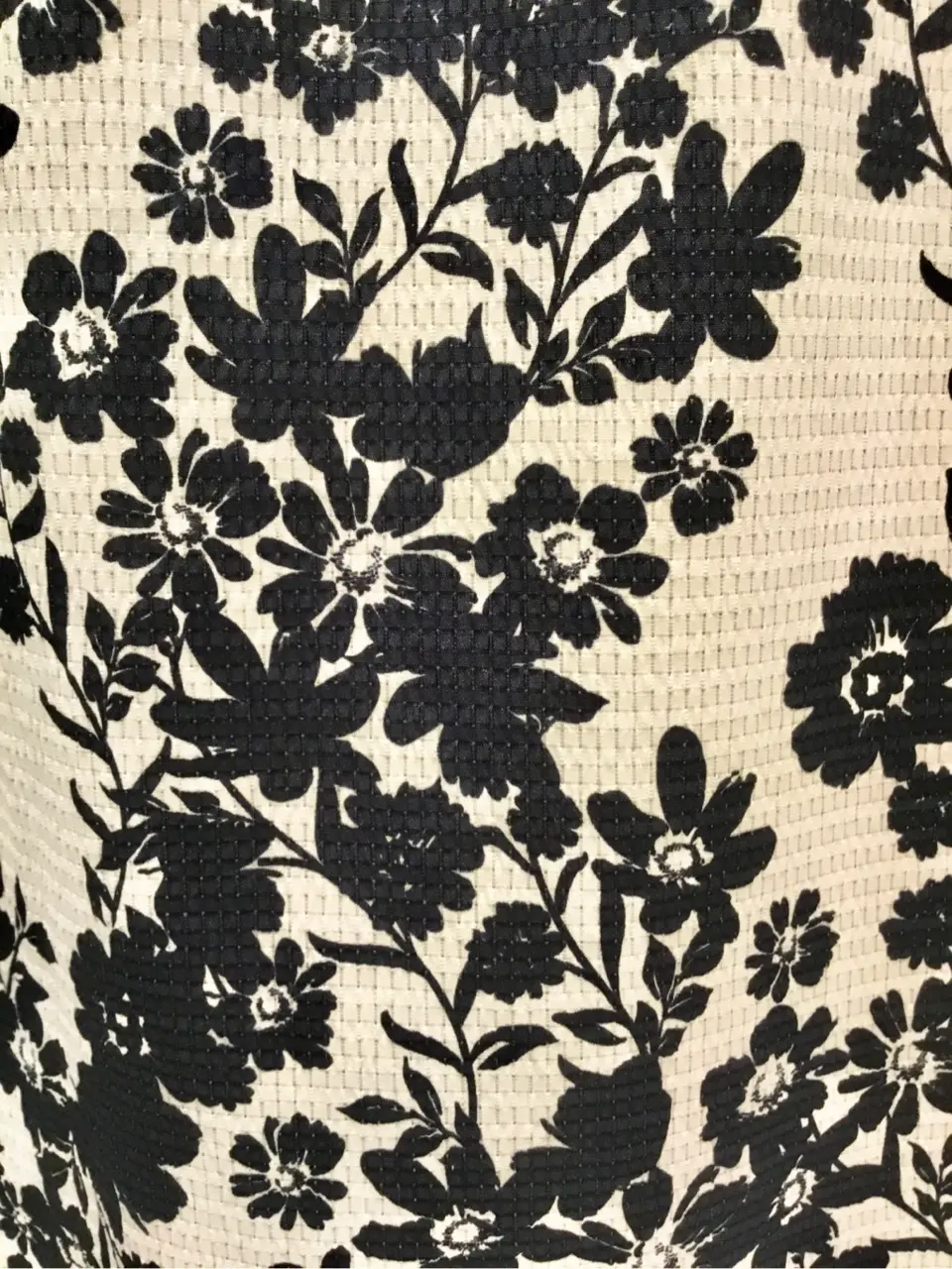 TOCCA Y.K コーディネート画像