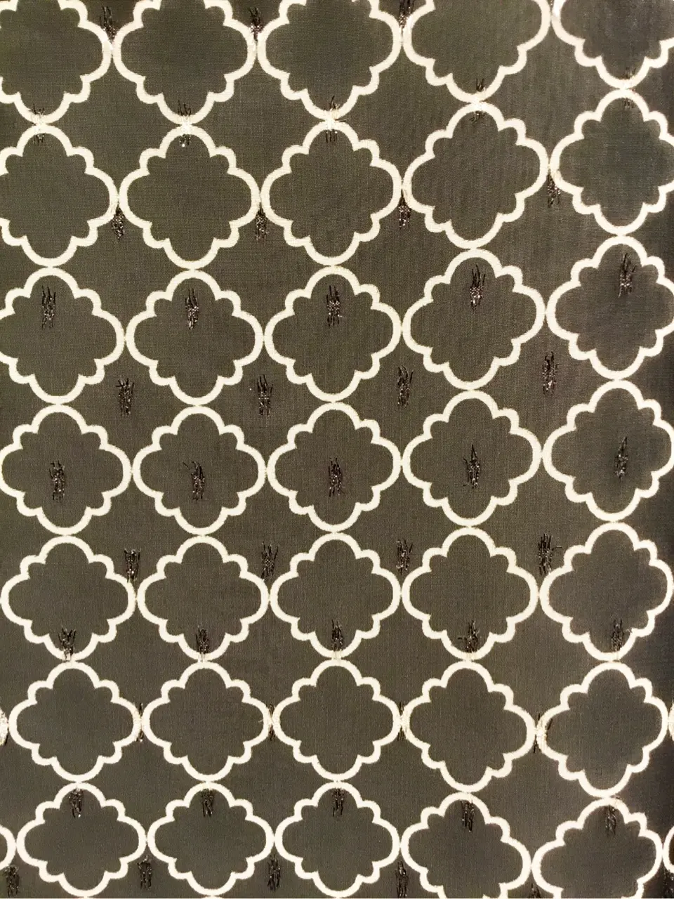 TOCCA Y.K コーディネート画像