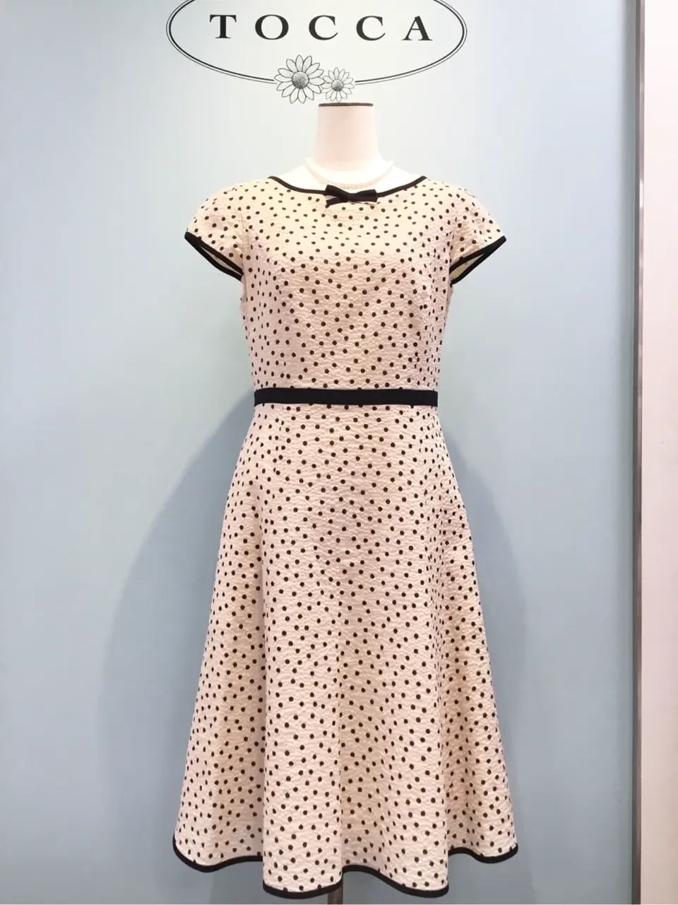 TOCCA 𝒽 コーディネート画像