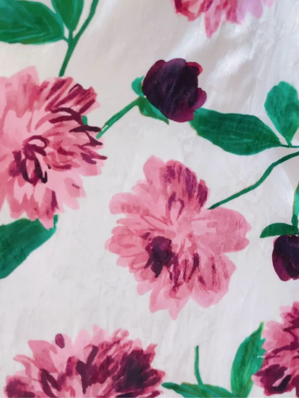 TOCCA 櫻木 コーディネート画像