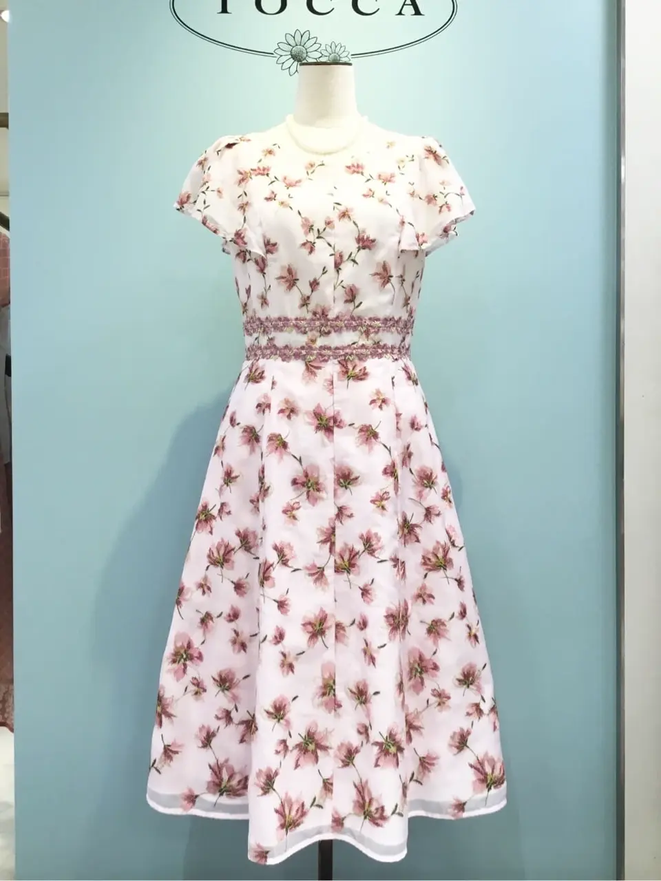 TOCCA 𝒽 コーディネート画像