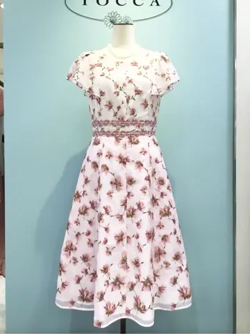 TOCCA 𝒽 コーディネート画像