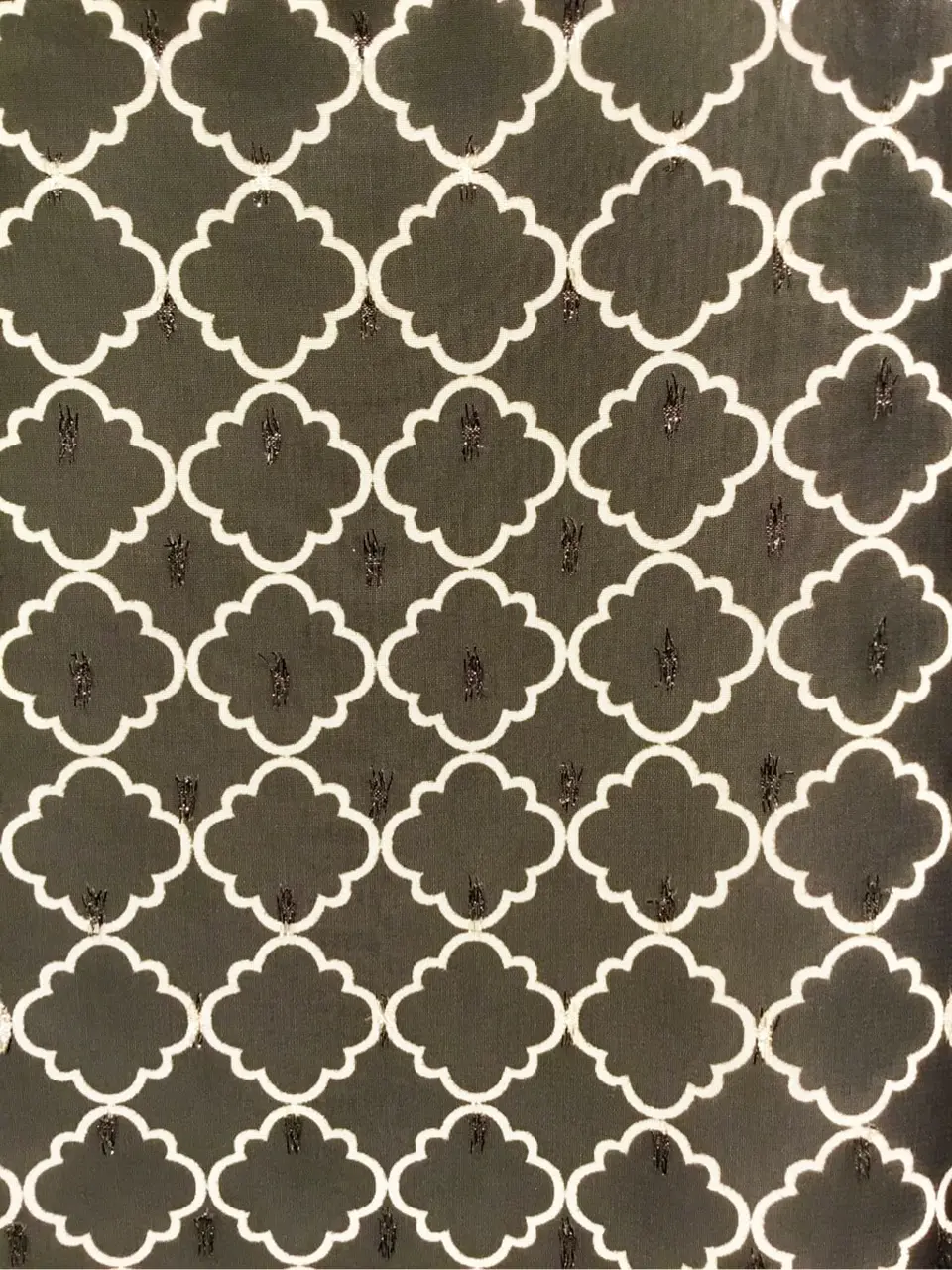 TOCCA Y.K コーディネート画像