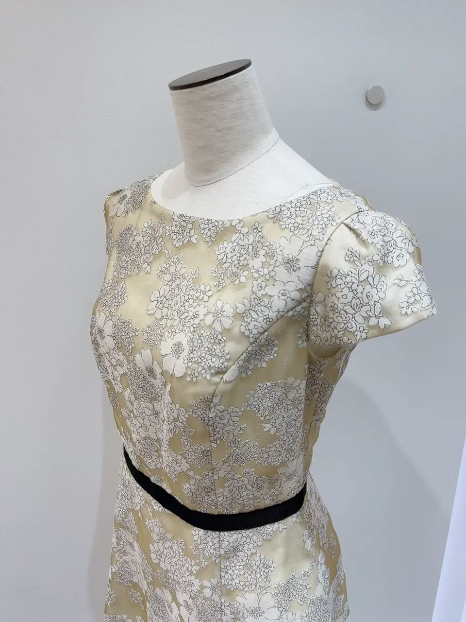 TOCCA 櫻木 コーディネート画像