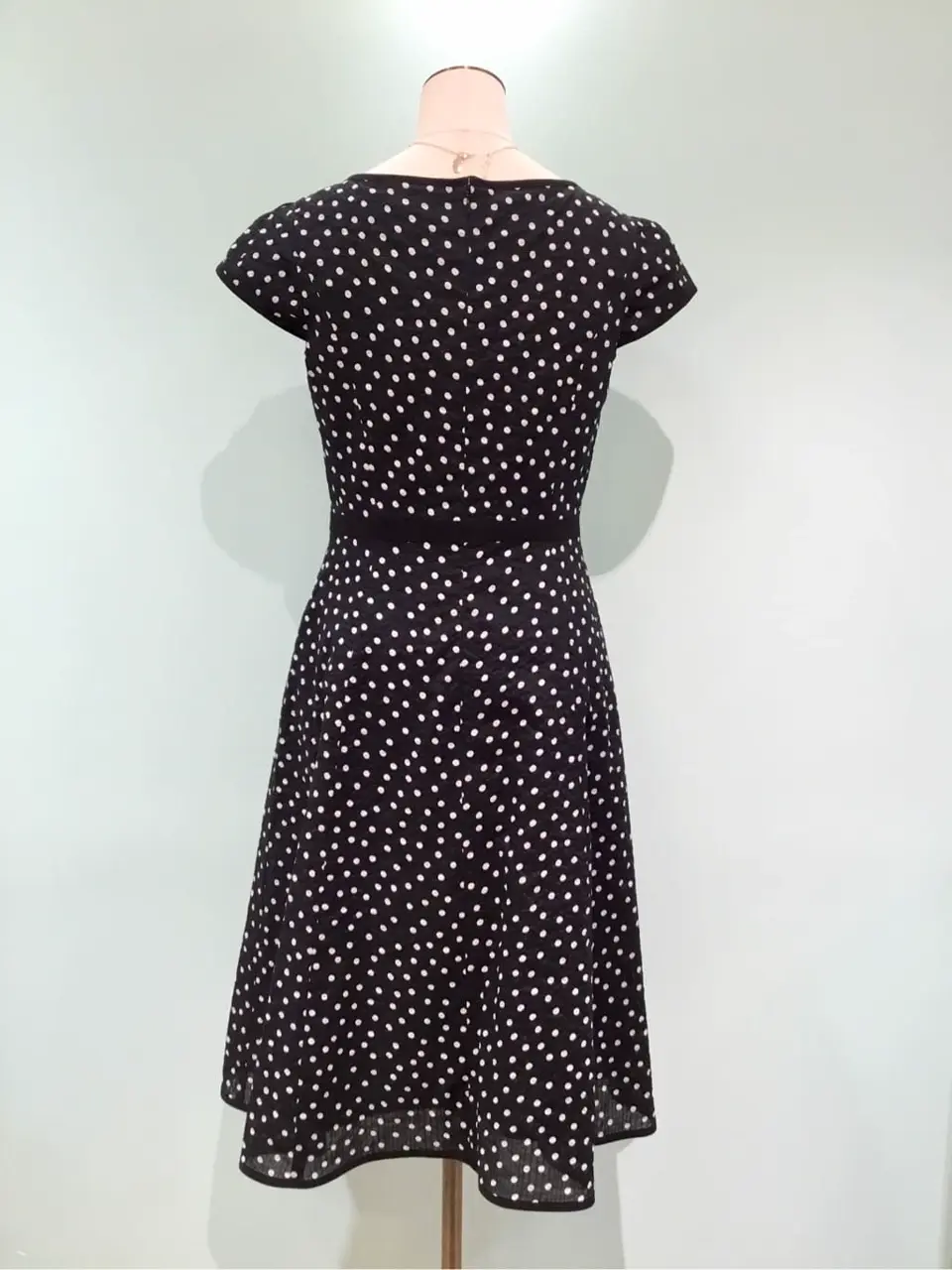 TOCCA Y.K コーディネート画像