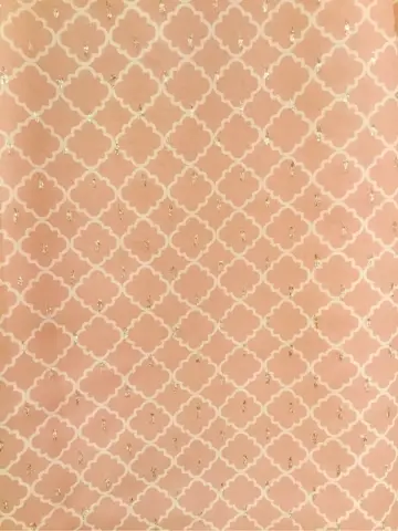 TOCCA Y.K コーディネート画像