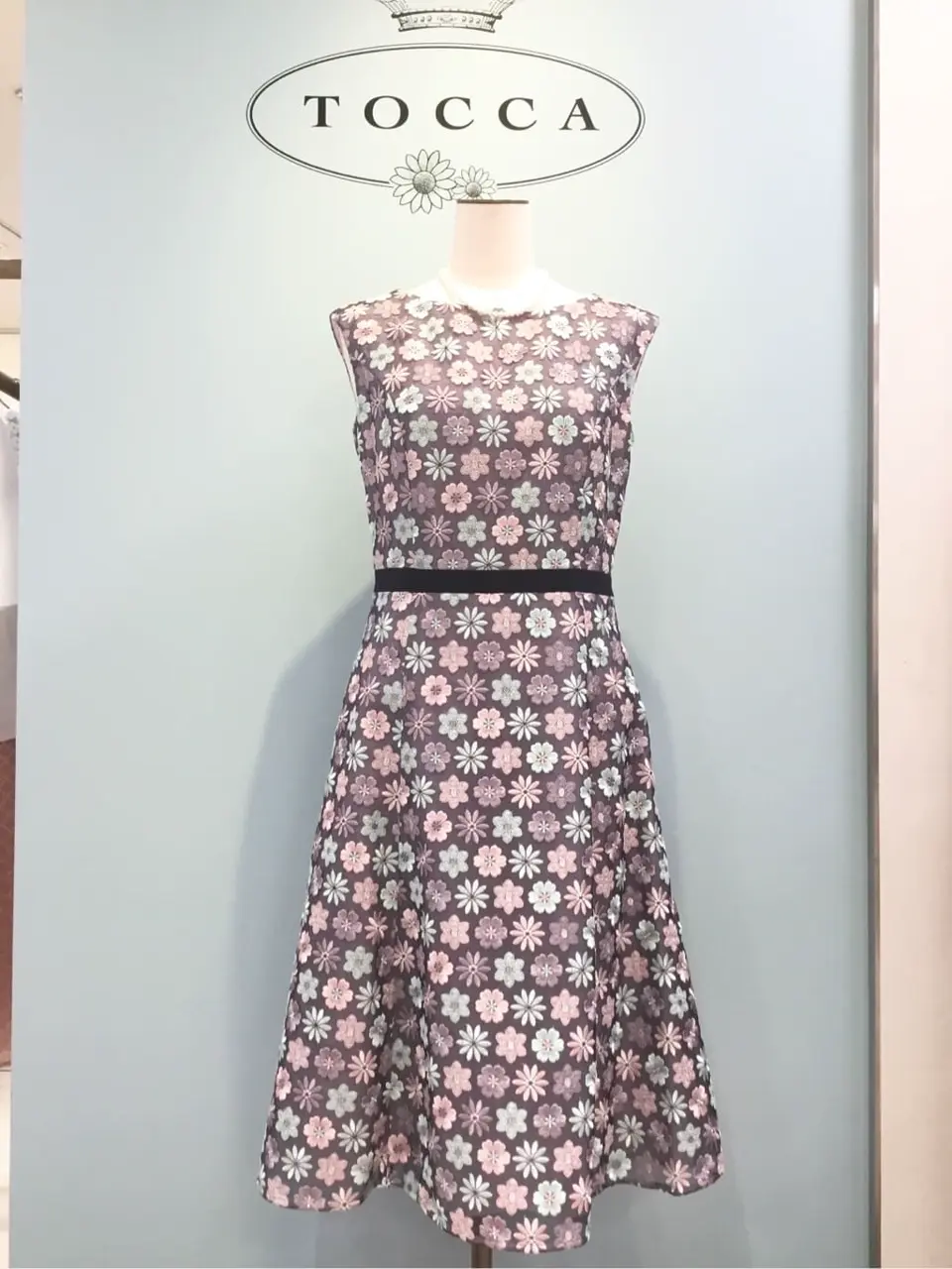 TOCCA 𝒽 コーディネート画像