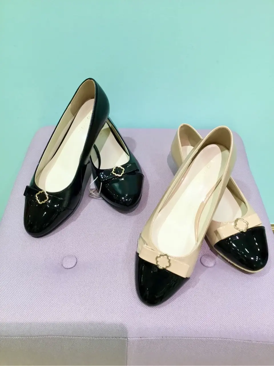 TOCCA Y.K コーディネート画像