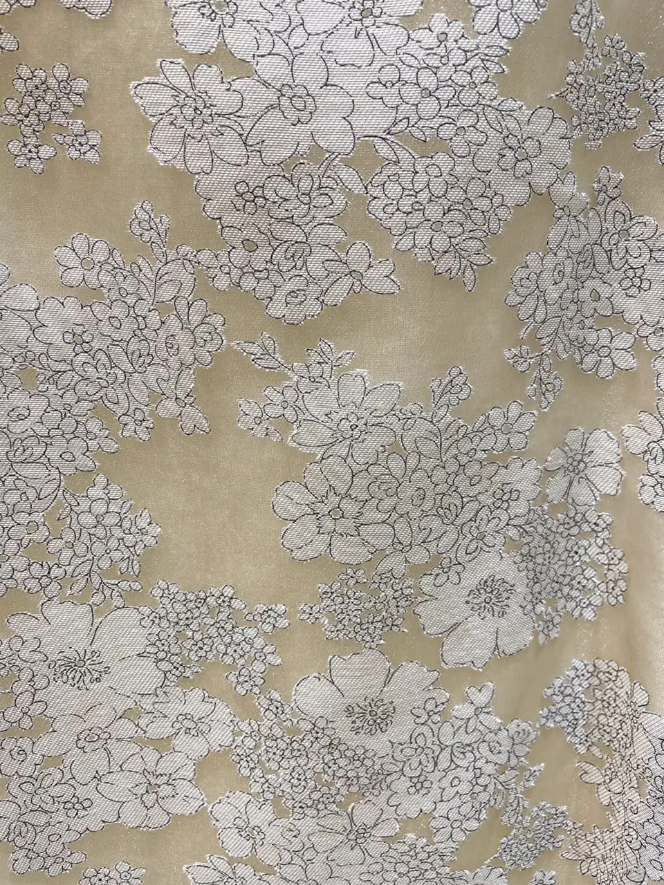 TOCCA 櫻木 コーディネート画像