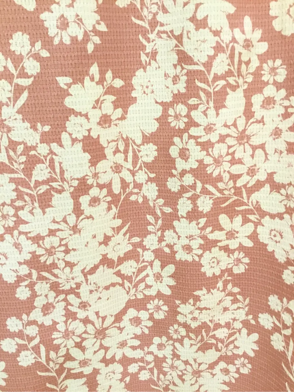 TOCCA Y.K コーディネート画像