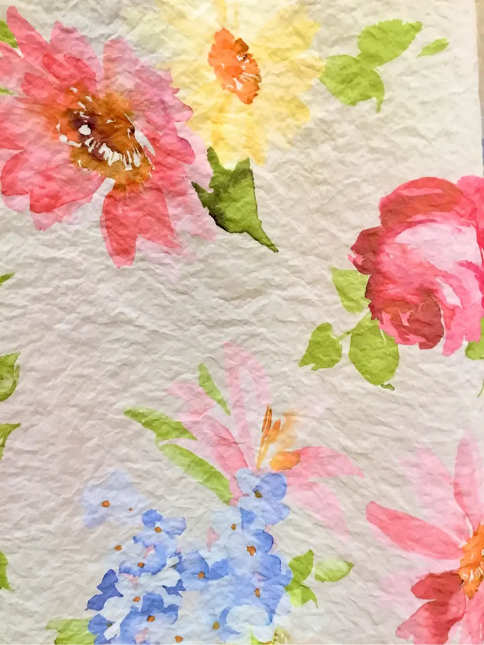 TOCCA Y.K コーディネート画像