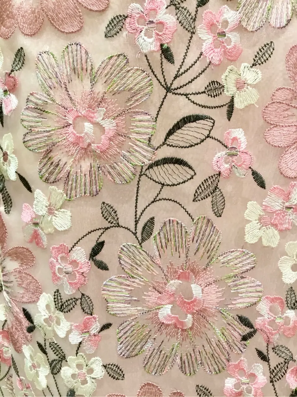 TOCCA Y.K コーディネート画像