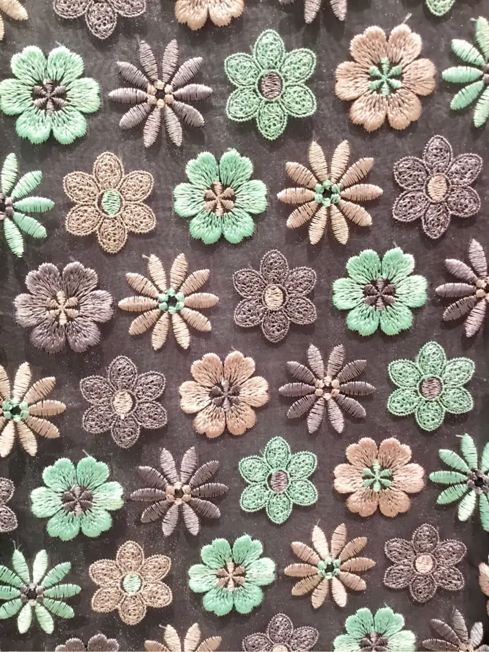 TOCCA Y.K コーディネート画像