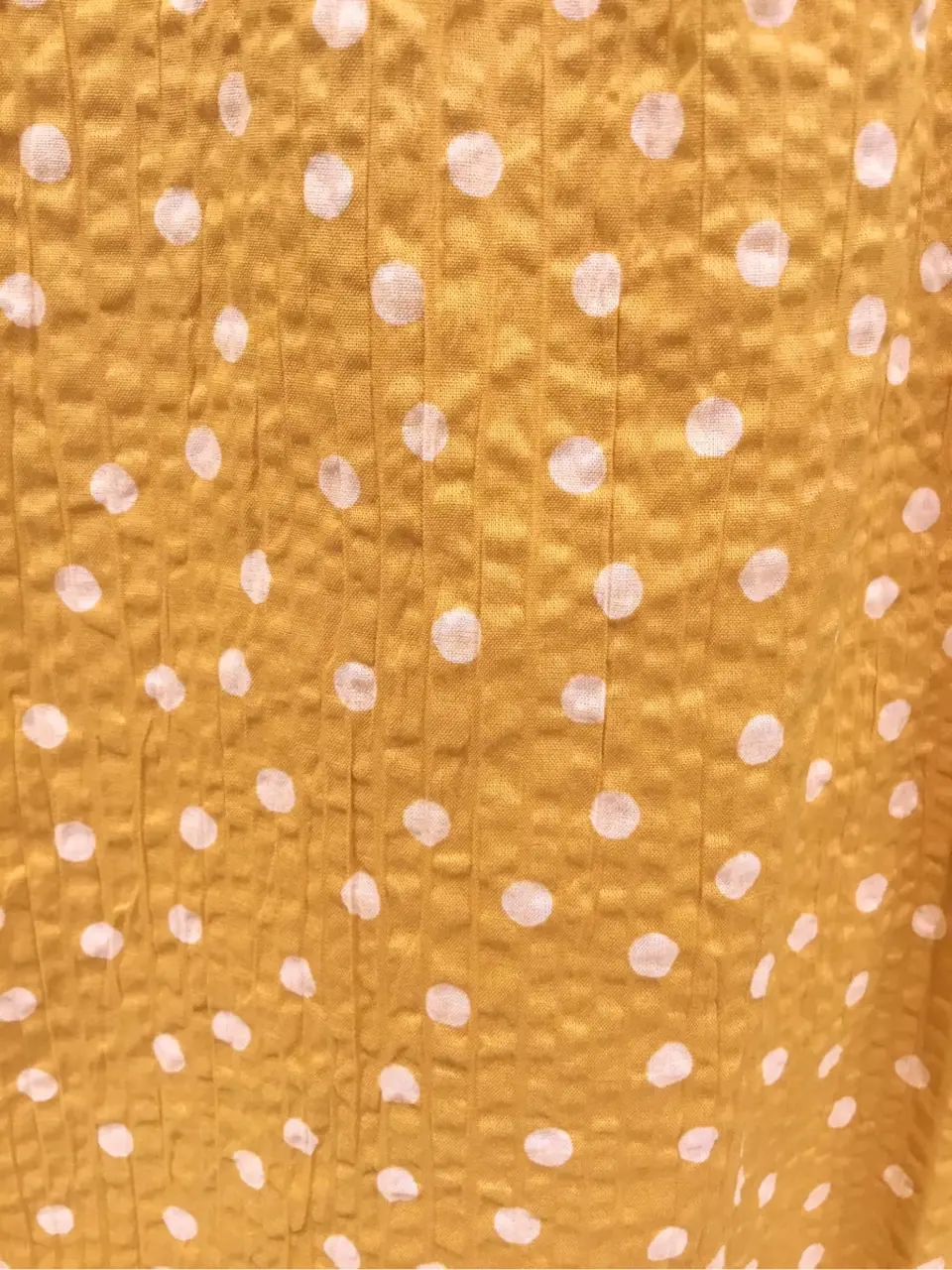 TOCCA Y.K コーディネート画像