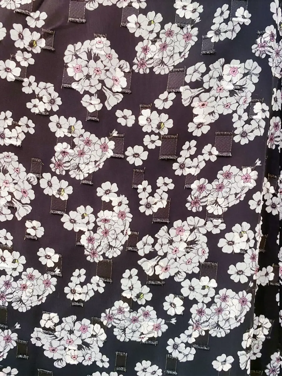 TOCCA 櫻木 コーディネート画像