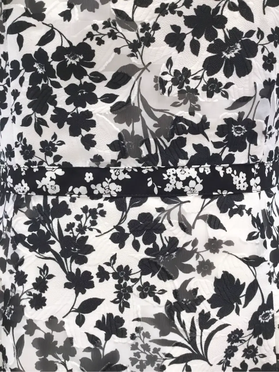 TOCCA 𝒽 コーディネート画像