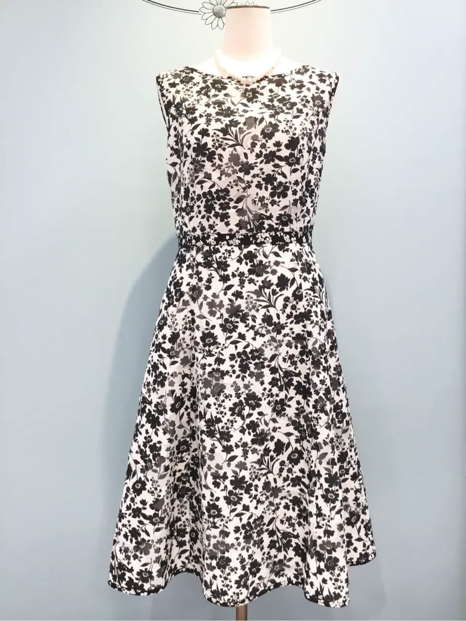 TOCCA 𝒽 コーディネート画像