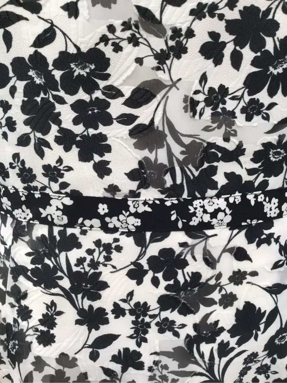 TOCCA ｋｉｍ コーディネート画像