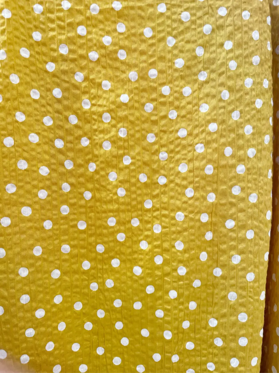 TOCCA 櫻木 コーディネート画像