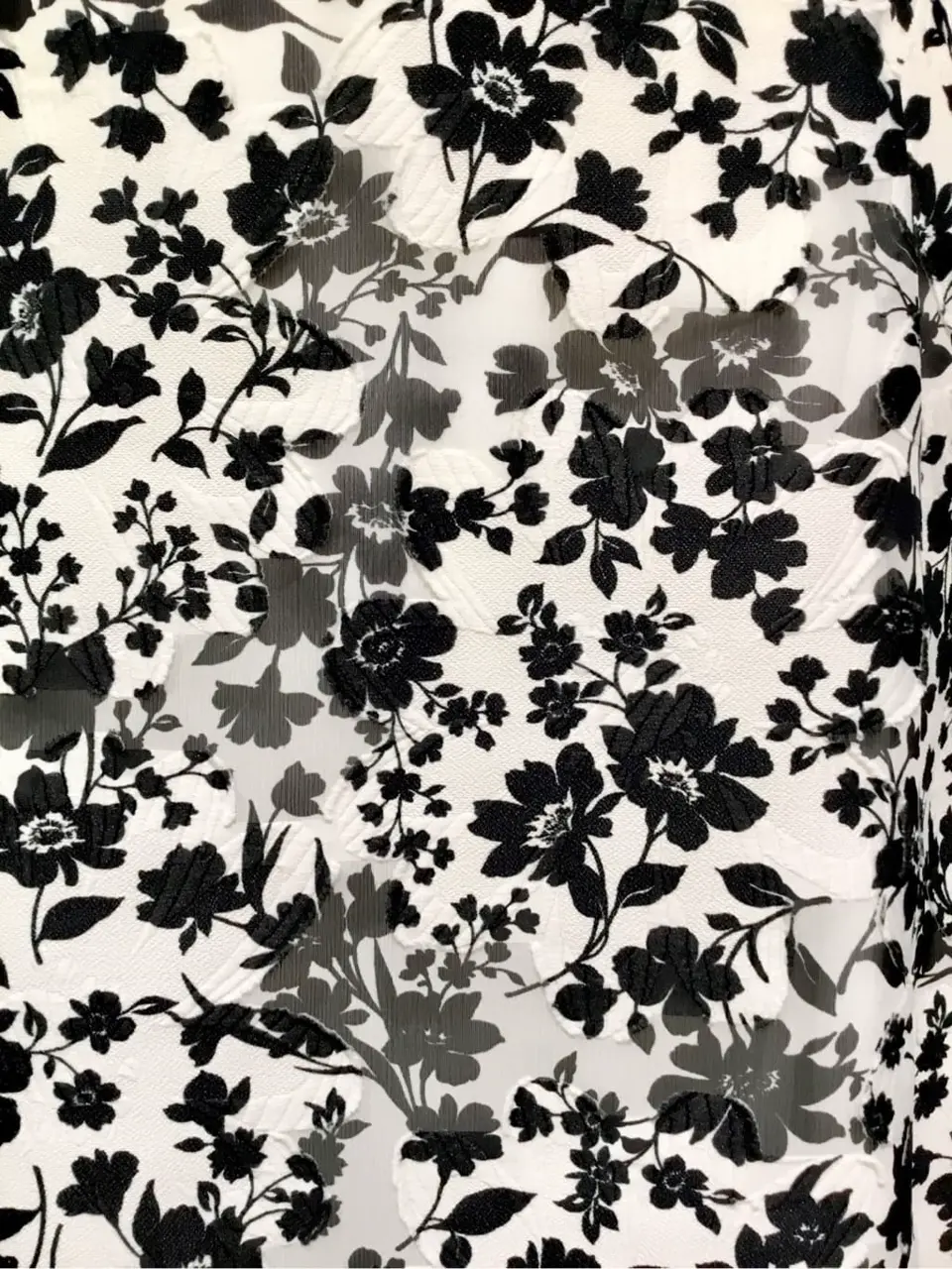 TOCCA Y.K コーディネート画像