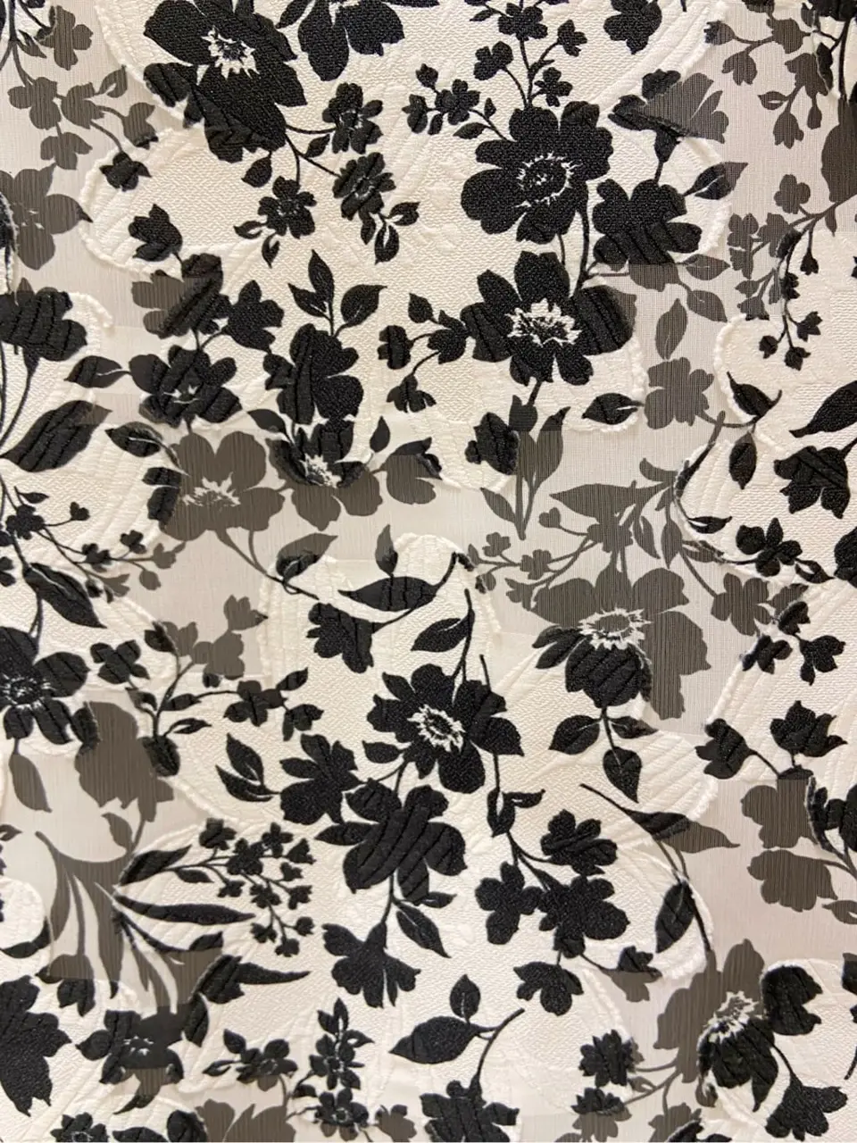 TOCCA 𝕂 コーディネート画像