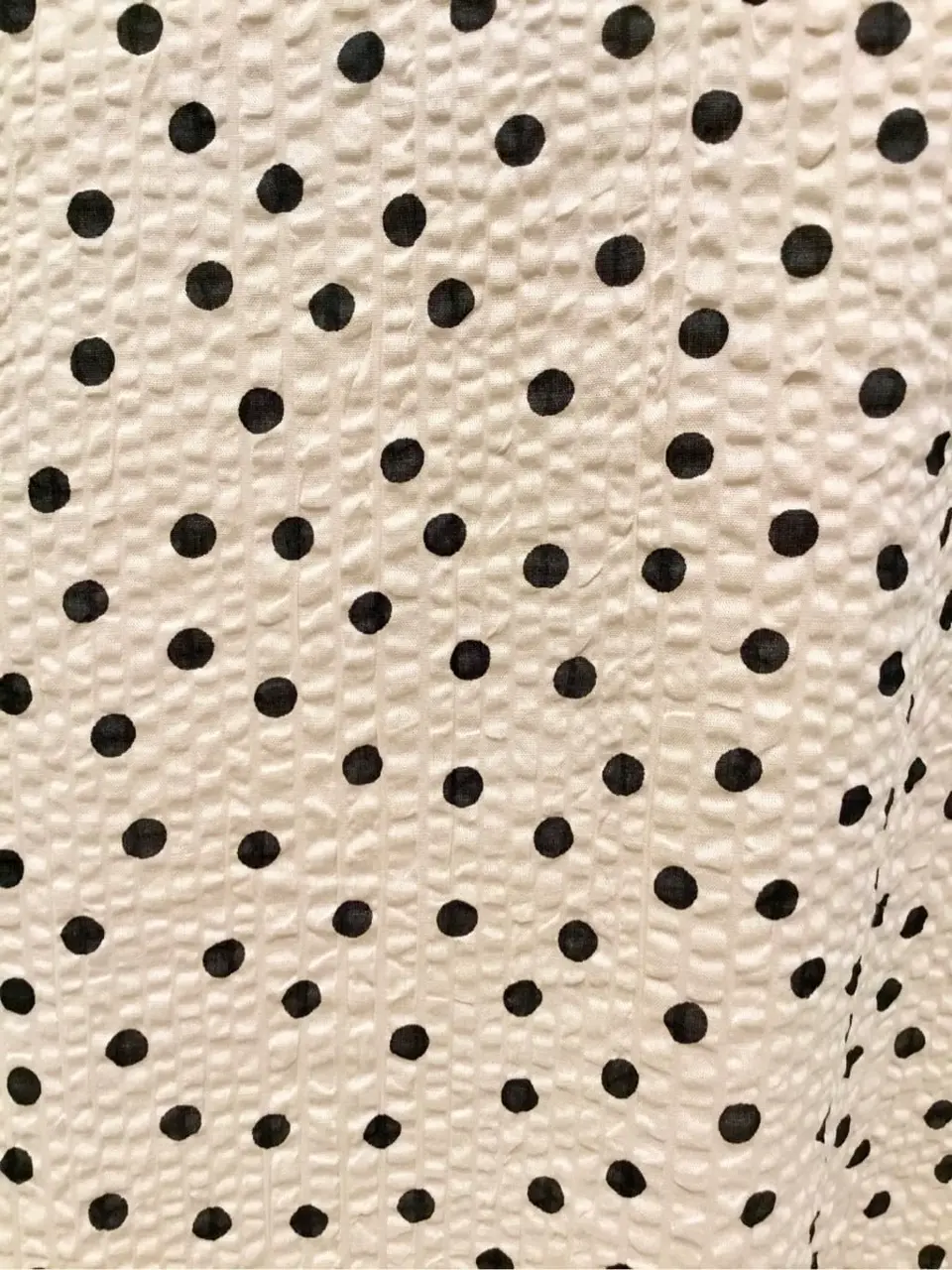 TOCCA Y.K コーディネート画像