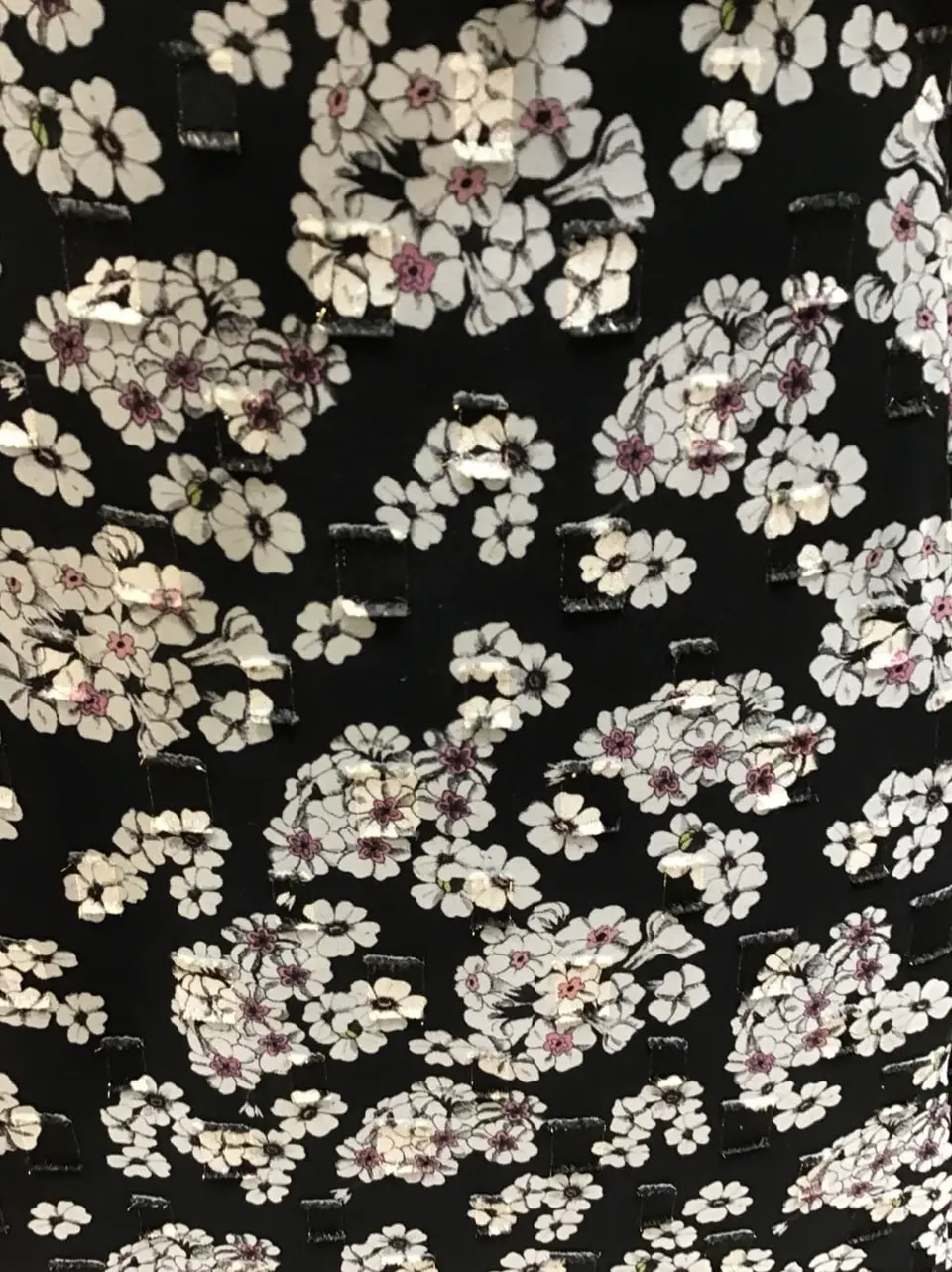 TOCCA スタッフ コーディネート画像