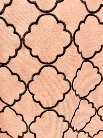 TOCCA Y.K コーディネート画像