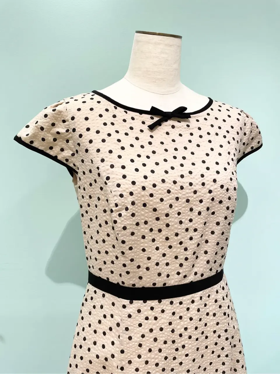 TOCCA G コーディネート画像