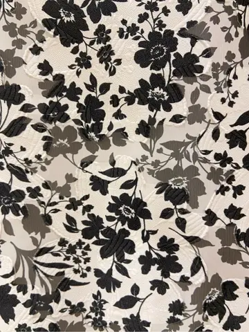 TOCCA 𝕂 コーディネート画像