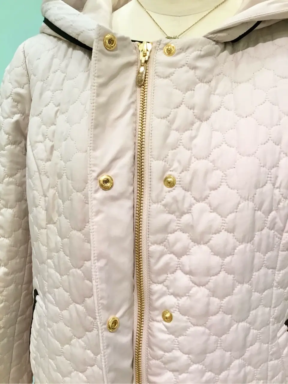 TOCCA Y.K コーディネート画像