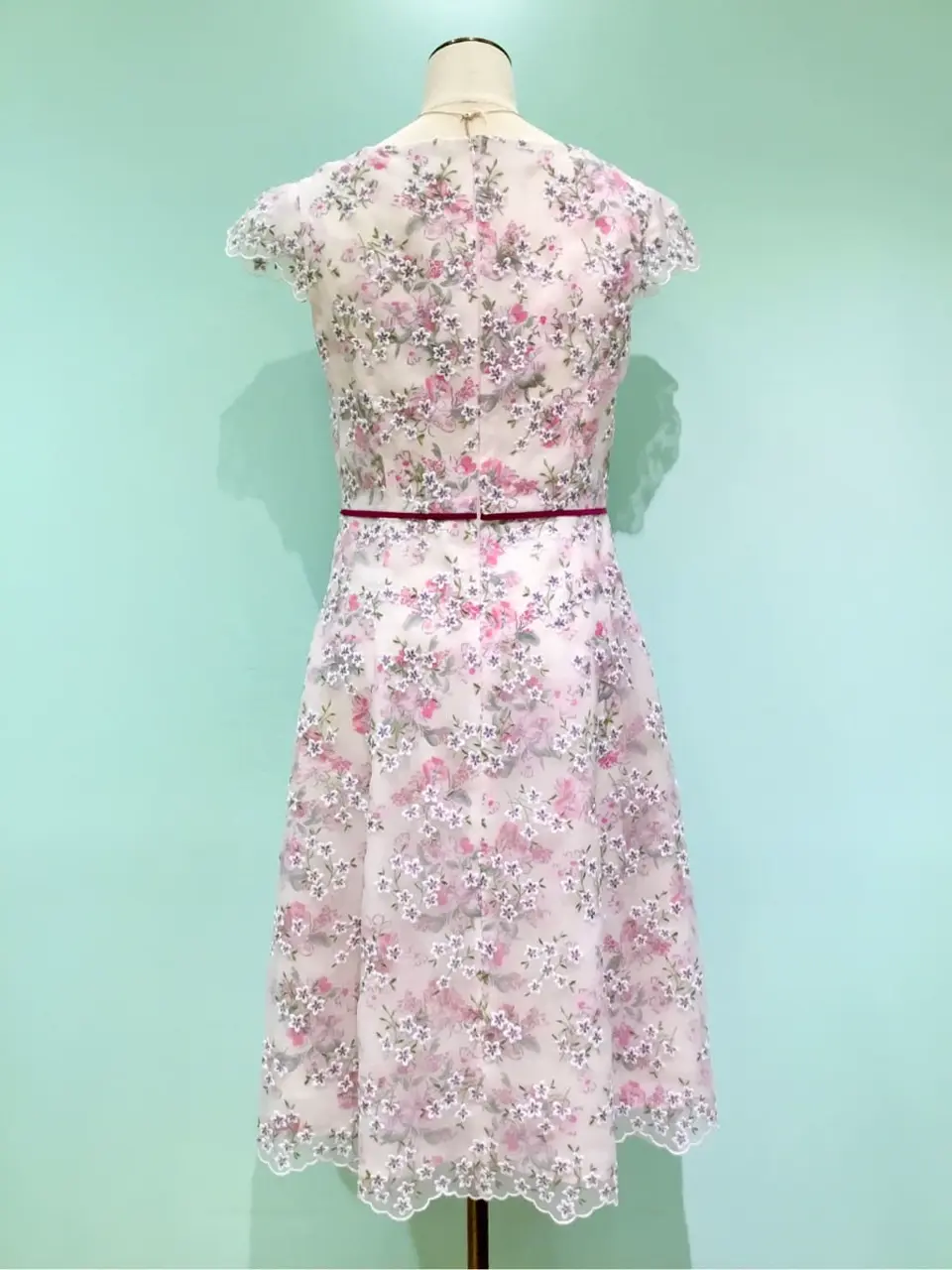 TOCCA Y.K コーディネート画像