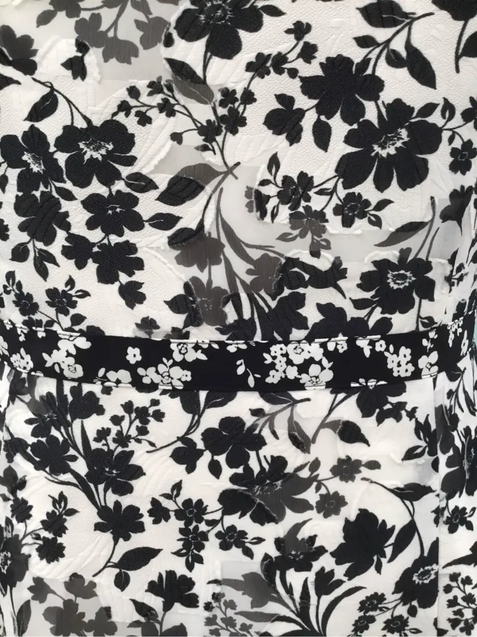 TOCCA ｋｉｍ コーディネート画像