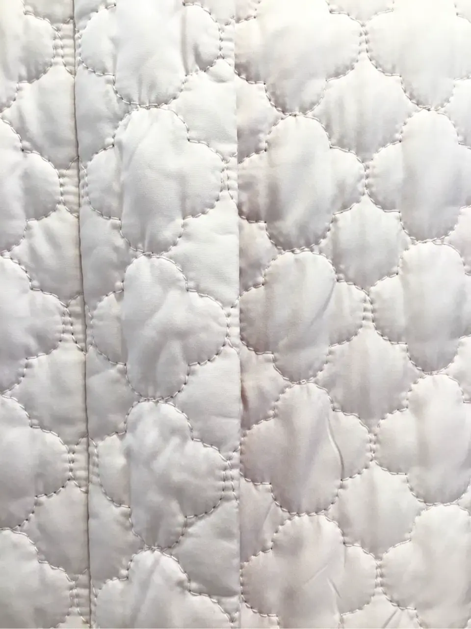 TOCCA 𝒽 コーディネート画像