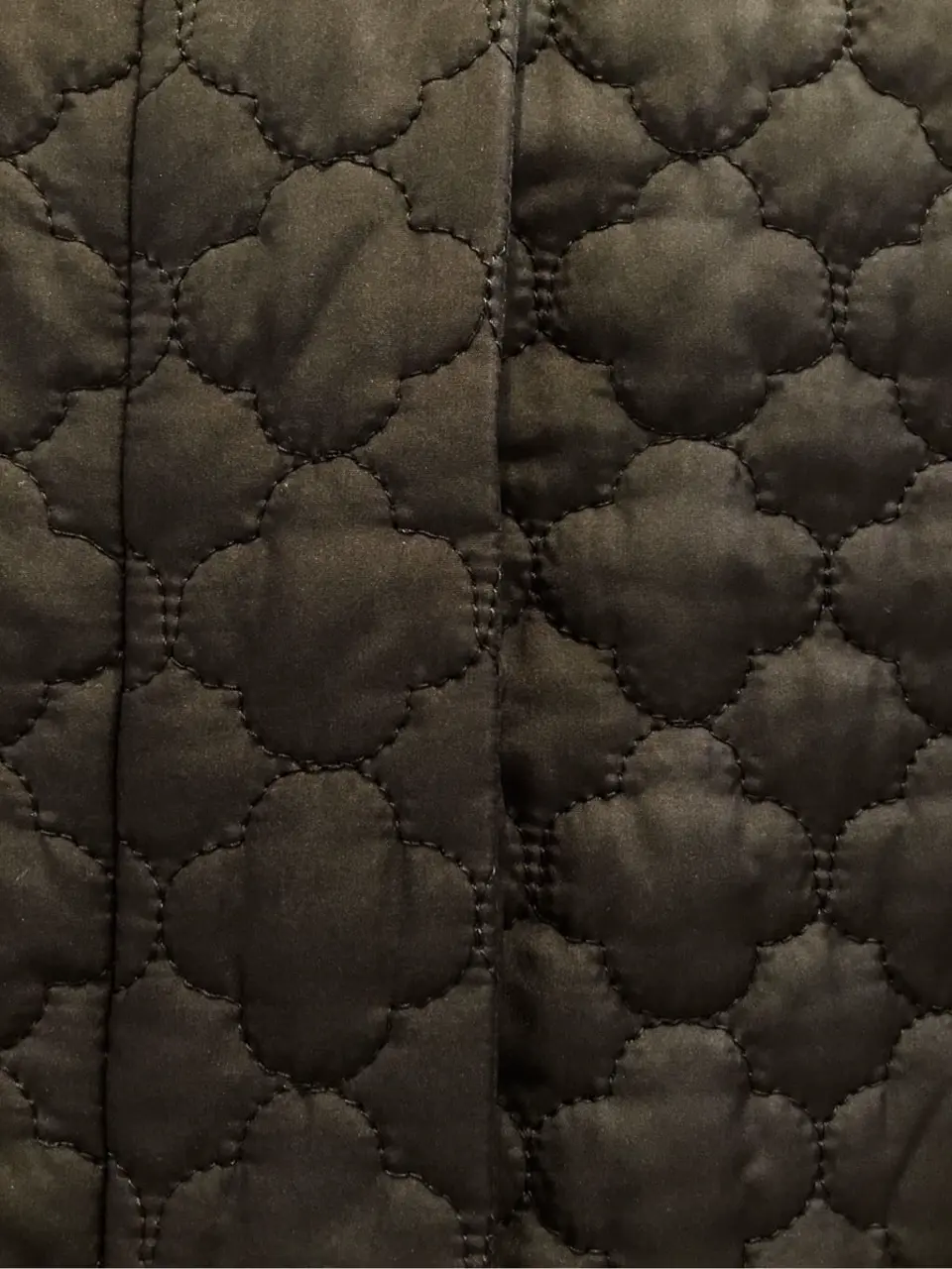 TOCCA 𝒽 コーディネート画像