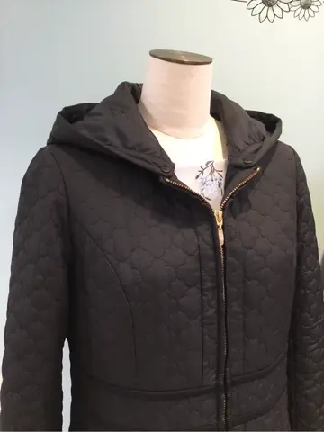 TOCCA 𝒽 コーディネート画像