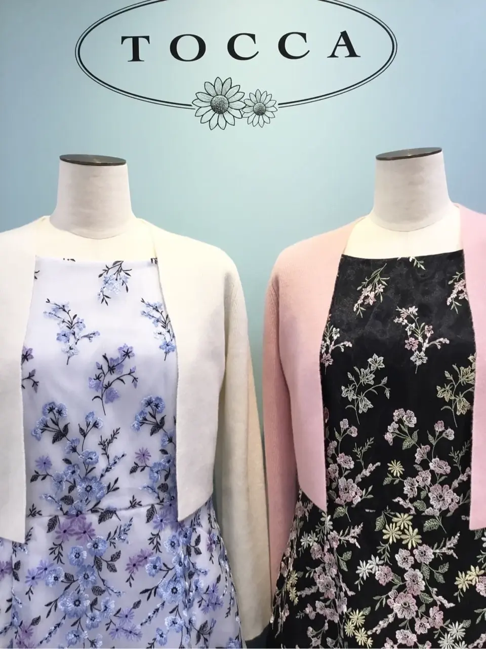 TOCCA 𝒽 コーディネート画像