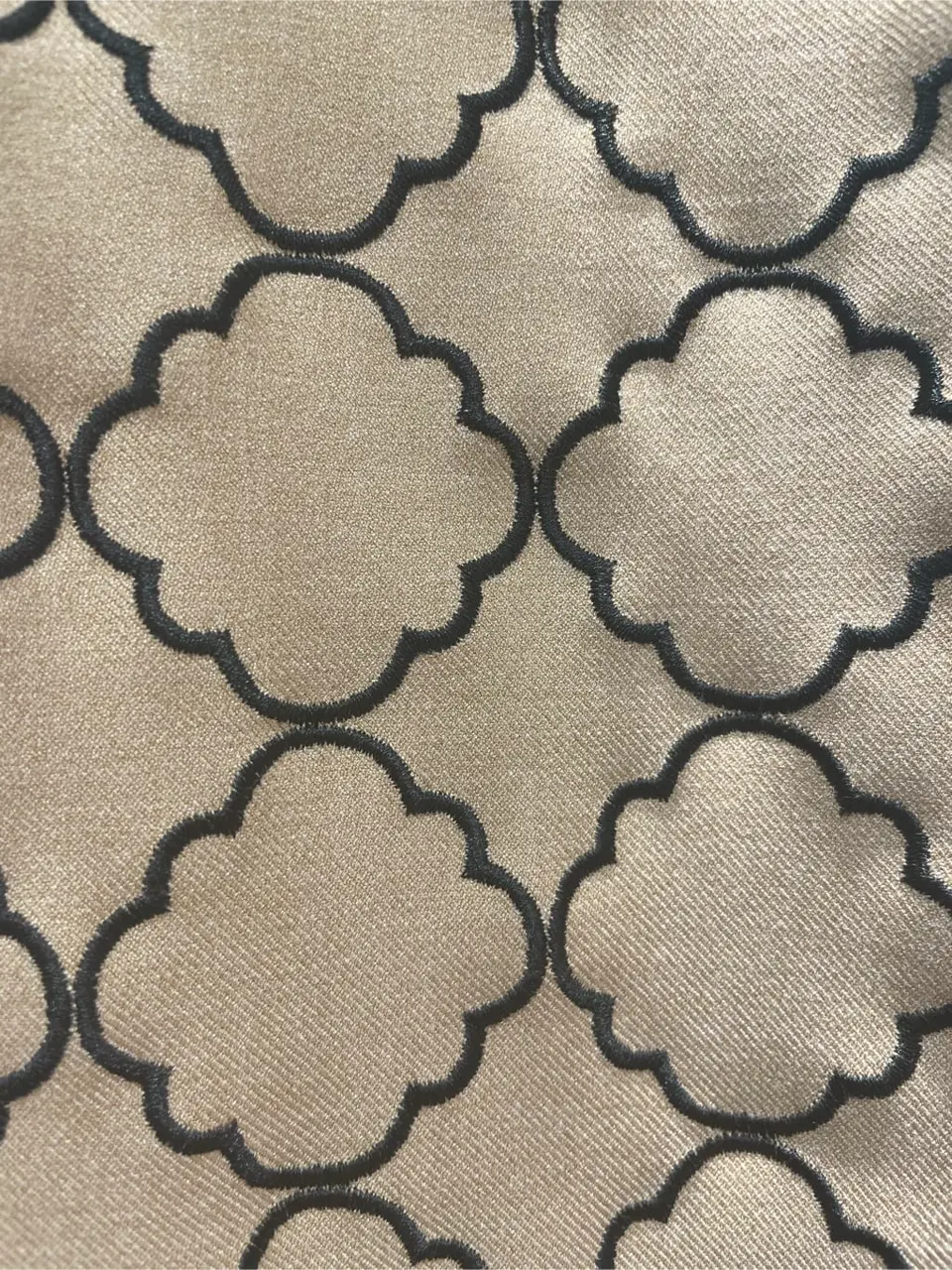 TOCCA 櫻木 コーディネート画像