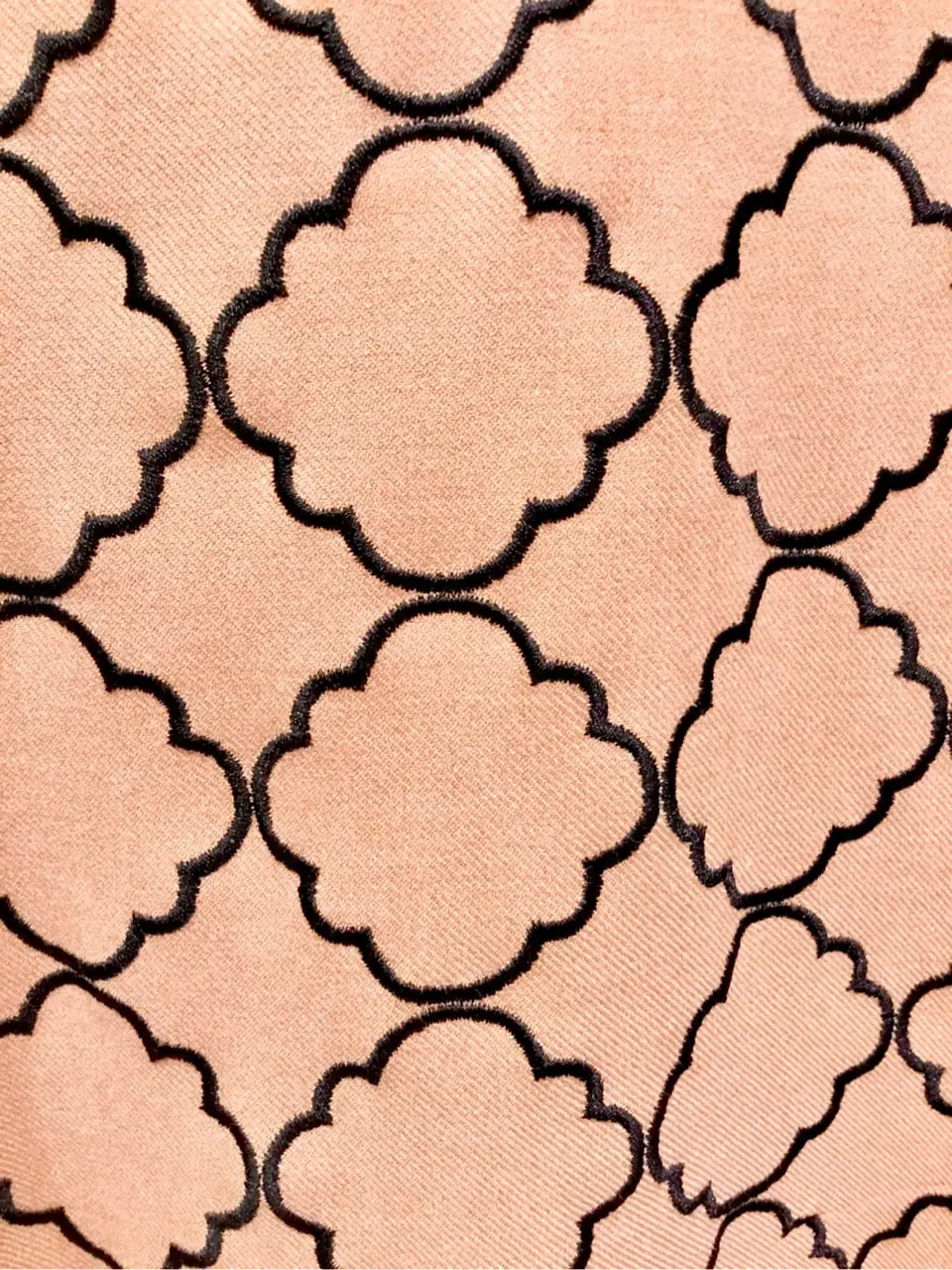 TOCCA Y.K コーディネート画像