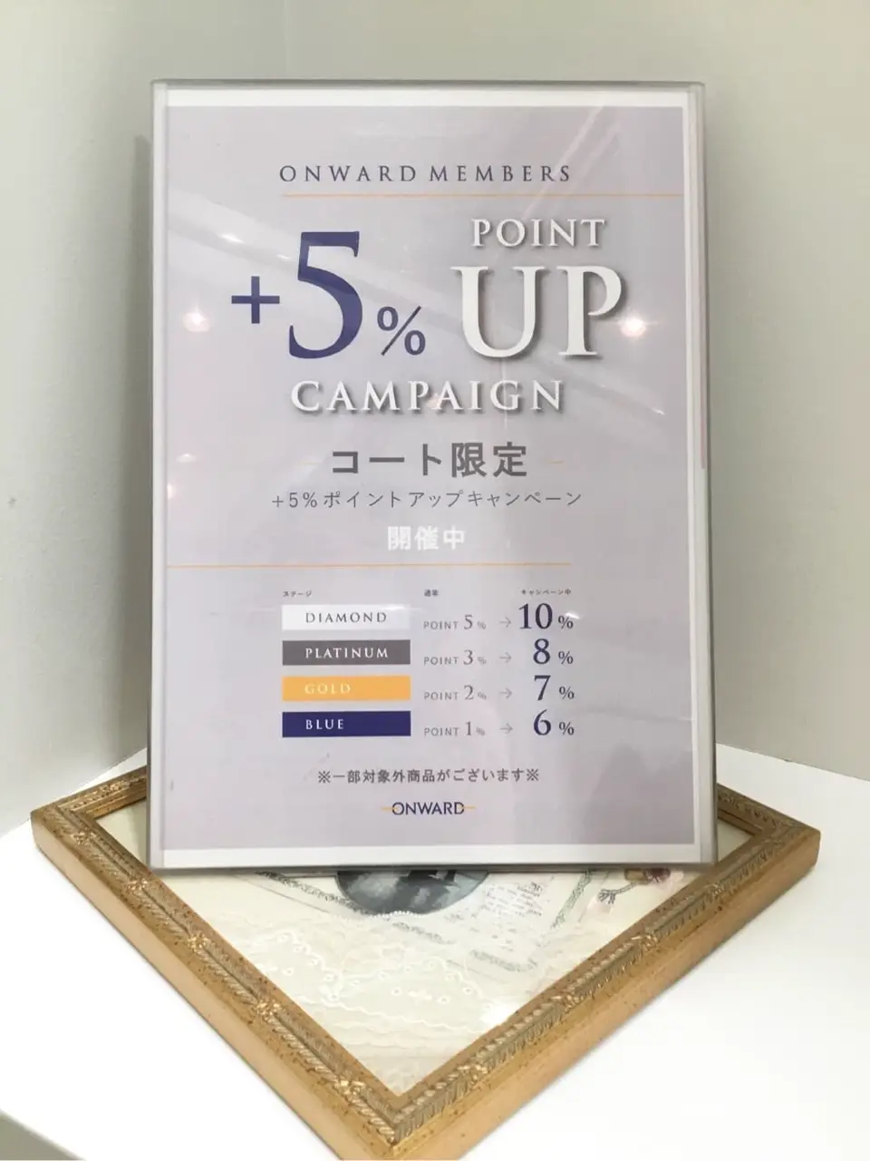 TOCCA 𝒽 コーディネート画像