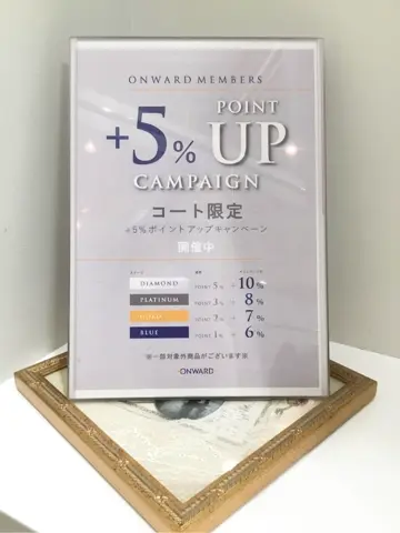 TOCCA 𝒽 コーディネート画像