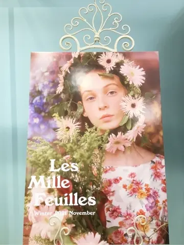 TOCCA 𝒽 コーディネート画像